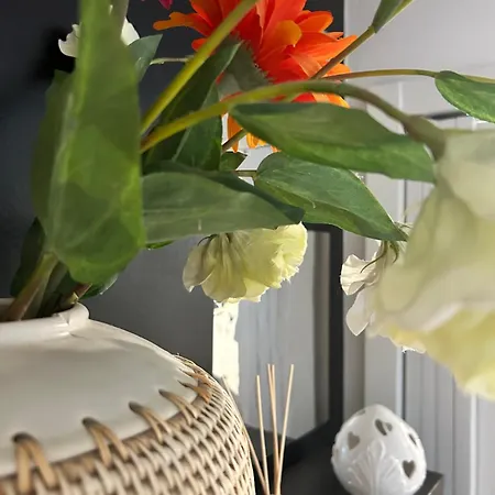 Crisalide 3* Putignano