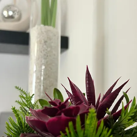 Bed & Breakfast Crisalide Putignano